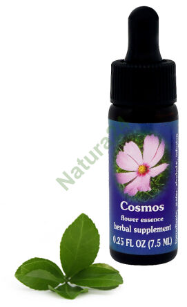 FES Cosmos 7,5 ml kapky