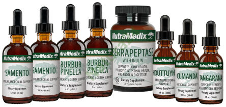 BARTONELOZA - sada podle protokolu NUTRAMEDIX