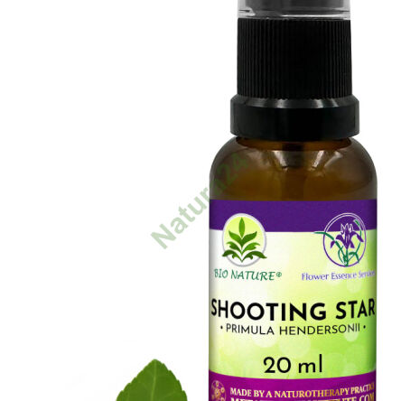 086. Shooting Star - Kompozice FES 20ml - 2