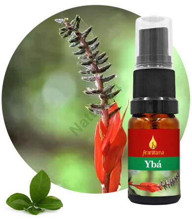 35. Ybá 10 ml Ararêtama Esence deštného pralesa