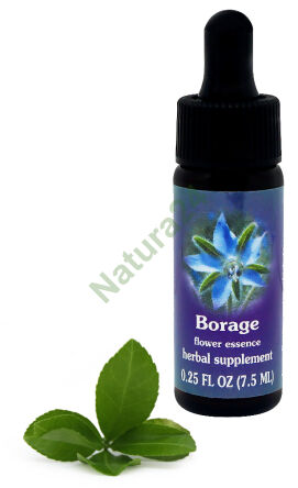 FES Brutnák 7,5 ml kapky
