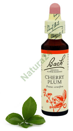 6. TŘEŠŇOVÁ ŠVESTKA / Třešeň švestka 20 ml Nelson Bach Original Flower Remedies