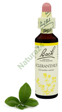 28. SCLERANTHUS / Jednoletý červen 20 ml Nelson Bach Original Flower Remedies