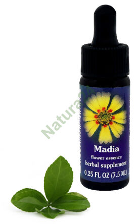 FES Madia 7,5 ml kapky