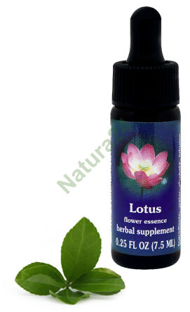 FES Lotus 7,5 ml kapky