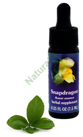 FES Snapdragon 7,5 ml kapky