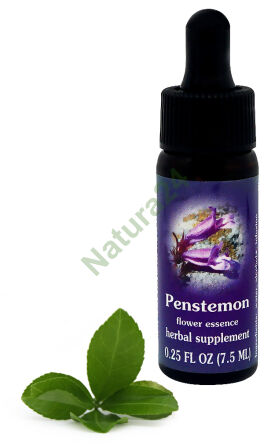 FES Penstemon 7,5 ml kapky