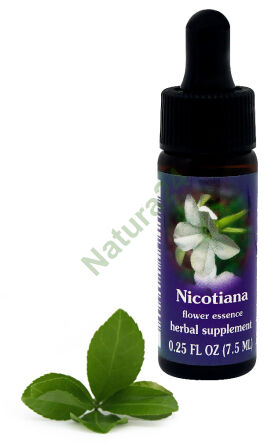 FES Nicotiana 7,5 ml kapky