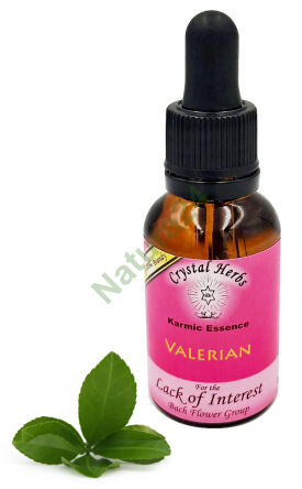 Crystal Herbs – Valeriána (Karmická esence) – 25 ml