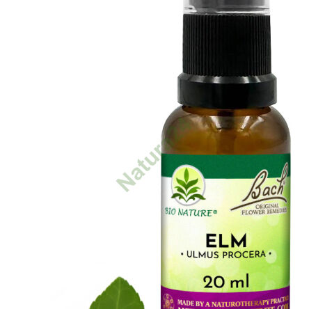 11. Jilm / Jilm anglický - Kompozice Bach Original Flower Remedies Nelson 20ml - 2
