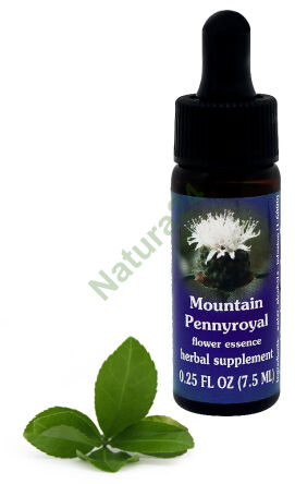 FES Mountain Pennyroyal 7,5 ml kapky