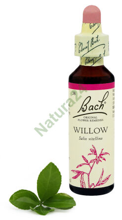 38. WILLOW / Vrba bílá 20 ml Nelson Bach Original Flower Remedies anglicky