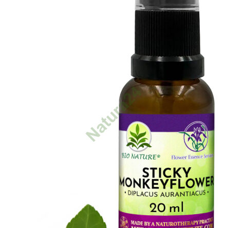 090. Lepivý opičí květ - Kompozice FES 20ml - 2