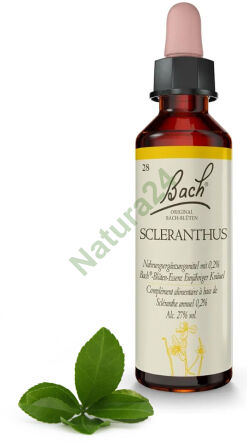 28. SCLERANTHUS / Jednoletý červen 20 ml Nelson Bach Original Flower Remedies deutsch