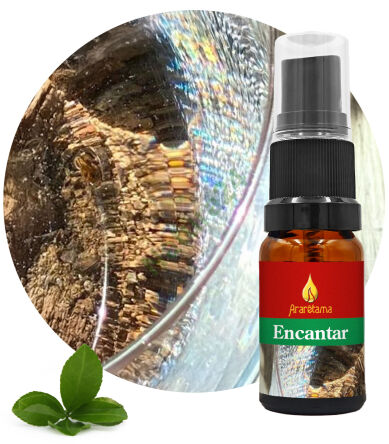 42. Enchant Encantar 10 ml Ararêtama Esence deštného pralesa