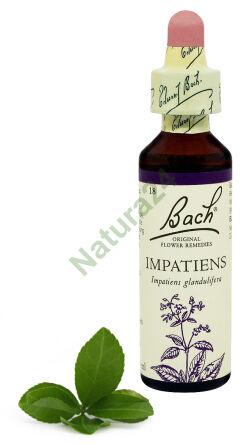 18. NETÝKAVKA / Netýkavka obecná 20 ml Nelson Bach Original Flower Remedies anglicky