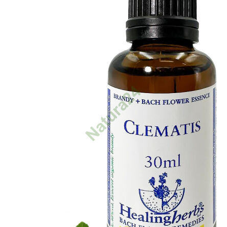 9. CLEMATIS / Plamének popínavý 10/30 ml nebo globule 15 g - 3
