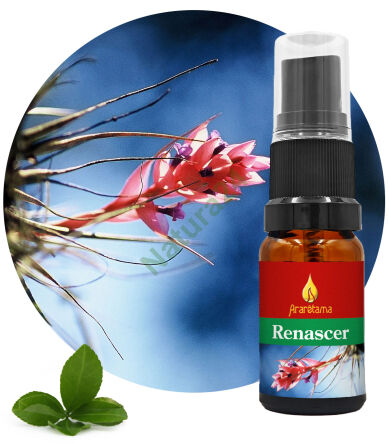 24. Renascer 10 ml Ararêtama Deštný prales Esence