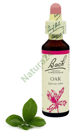 22. OAK / Dub letní 20 ml Nelson Bach Original Flower Remedies