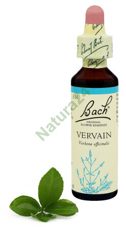 31. VERVAIN / Verbena běžná 20 ml Nelson Bach Original Flower Remedies