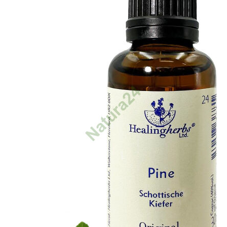 24. PINE / Borovice 10/30 ml nebo globule 15 g - 3
