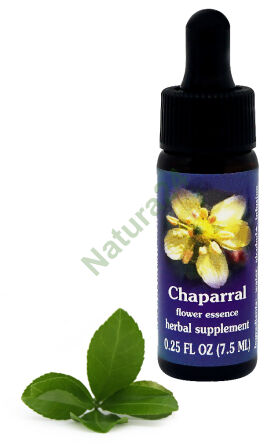 FES Chaparral 7,5 ml kapky