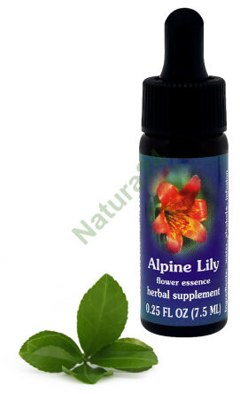 FES Alpínská lilie 7,5 ml kapky
