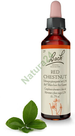 25. ČERVENÝ KAŠTAN / Kaštan červený 20 ml Nelson Bach Originální květové esence deutsch