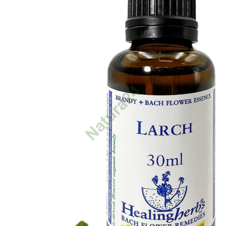 19. LARCH / Modřín evropský 10/30 ml nebo globule 15 g - 3