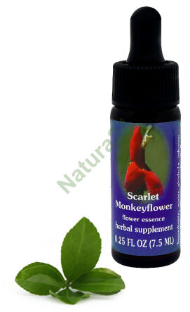 FES Scarlet Monkeyflower 7,5 ml kapky