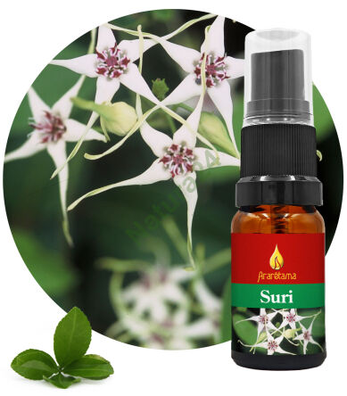 29. Suri 10 ml Ararêtama Esence deštného pralesa