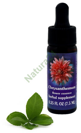 FES Chryzantéma 7,5 ml kapky