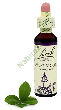 34. WATER VIOLET / Kružnice bažinná / Fialka 20 ml Nelson Bach Original Flower Remedies