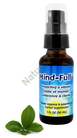 FES Mind-Full Zajišťuje živý stav soudržnosti a jasnosti mysli 30 ml sprej