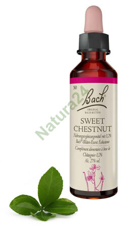 30. SLADKÝ KAŠTAN / Jedlý kaštan 20 ml Nelson Bach Original Flower Remedies deutsch