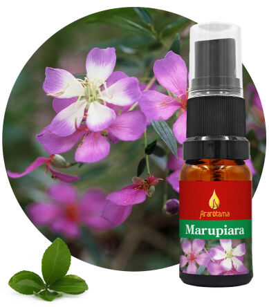 17. Marupiara 10 ml Ararêtama Esence deštného pralesa