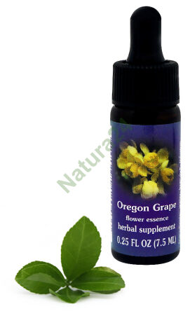 FES Oregon Grape 7,5 ml kapky