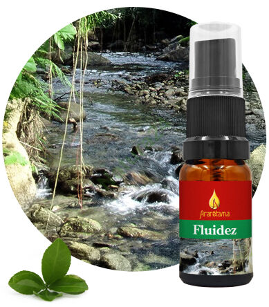 45. Flow Fluidez 10 ml Ararêtama Esence deštného pralesa