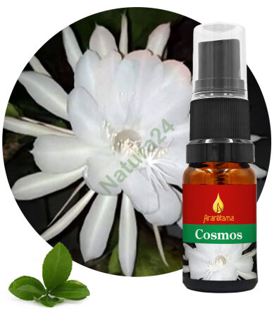 41. Cosmos 10 ml Ararêtama Deštný prales Esence