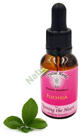 Crystal Herbs – Fuchsie (Karmická esence) – 25 ml