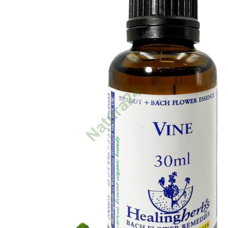 32. VÍNO / Réva vinná 10/30 ml nebo globule 15 g - 3