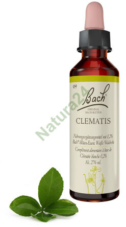 9. CLEMATIS / Plamének popínavý 20 ml Nelson Bach Originální květové esence německy