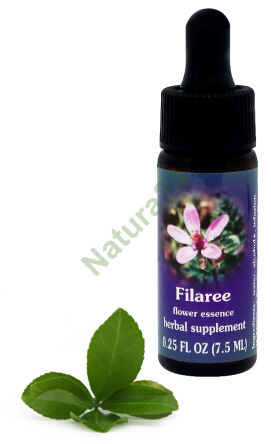 FES Filaree 7,5 ml kapky