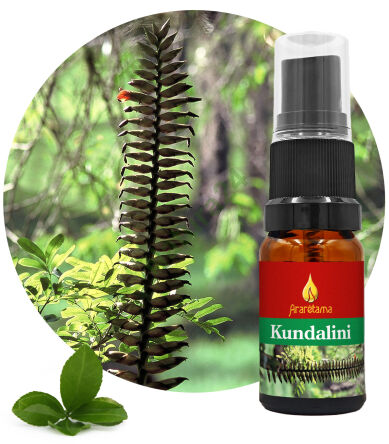 15. Kundalini 10 ml Ararêtama Dešťové lesní esence