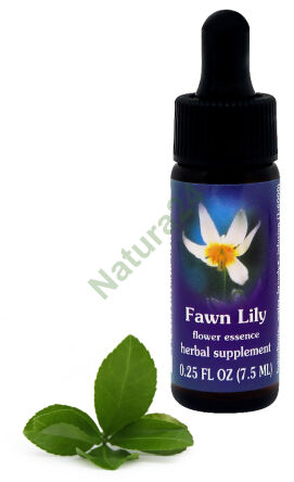 FES Jelení lilie 7,5 ml kapky
