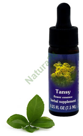 FES Tansy 7,5 ml kapky