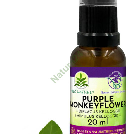 071. Fialový opičí květ - Kompozice FES 20ml - 2