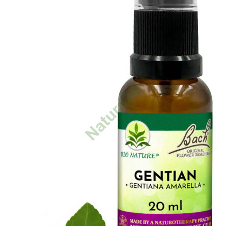 12. GENTIÁNA / Hořec hořký - Kompozice Bach Original Flower Remedies Nelson 20ml - 2