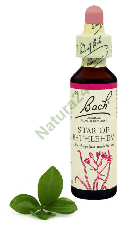 29. HVĚZDA BETLÉMSKÁ / Gwiazda Betlejemska / Šnědek okolíkatý 20 ml Nelson Bach Original Flower Remedies