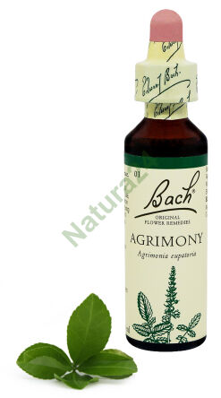 1. AGRIMONY / Řepík obecný 20 ml Nelson Bach Original Flower Remedies anglicky